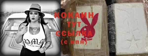 молекула духа Алзамай