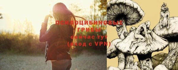 spice Алексеевка