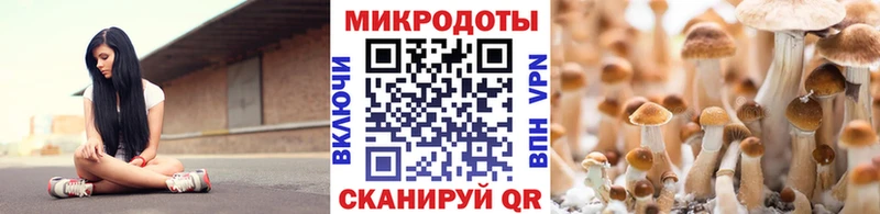 Псилоцибиновые грибы GOLDEN TEACHER  как найти наркотики  Киреевск 
