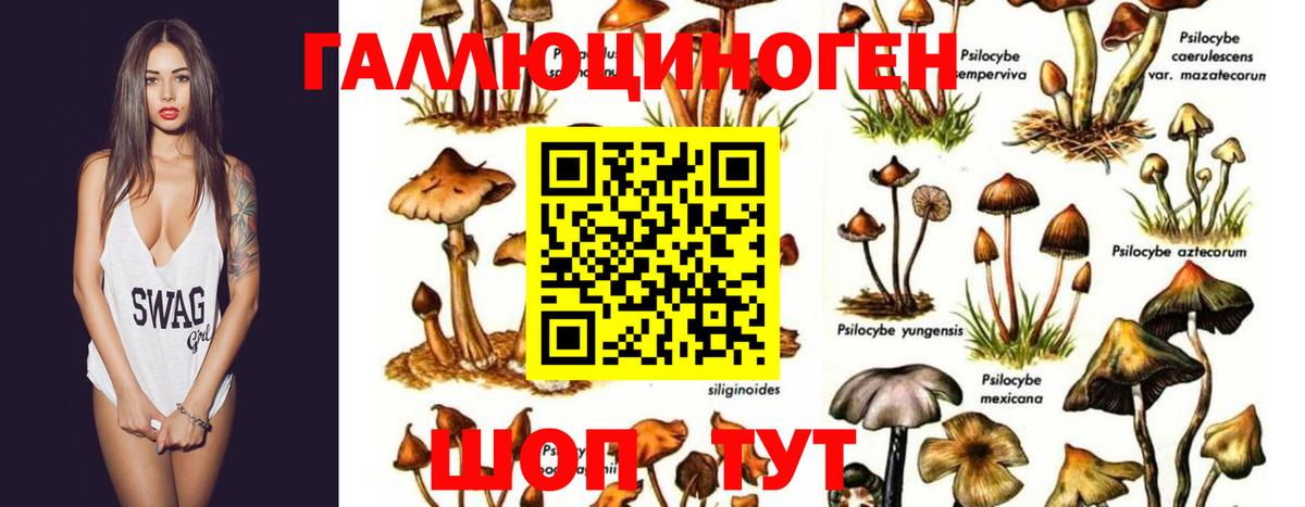 Псилоцибиновые грибы ЛСД  Вход с VPN  наркотики  Киреевск 