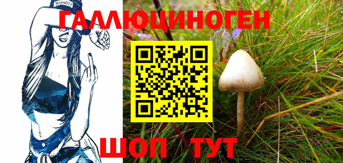 Галлюциногенные грибы Psilocybe Киреевск